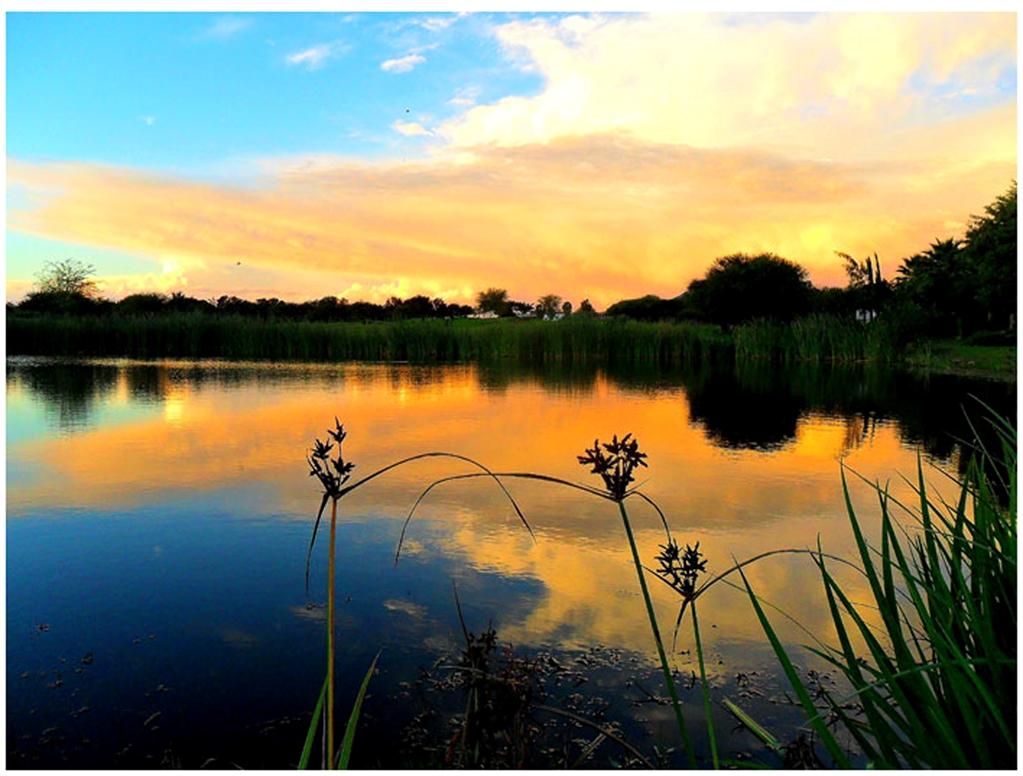 Phakalane Golf Estate Hotel Resort Gaborone Facilities photo